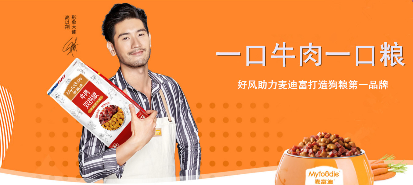 好風是杭州專業的寵物品牌策劃公司 杭州寵物品牌策劃公司